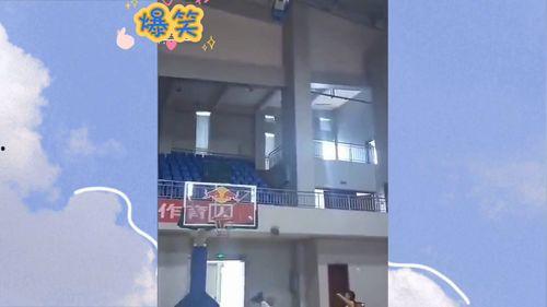 沙雕视频爆料网站大全,笑料横生,欢乐无限! 第1张 沙雕视频爆料网站大全,笑料横生,欢乐无限! 第1张